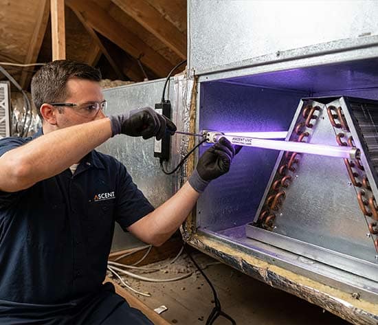 UV-Lamp-installation-Gemini